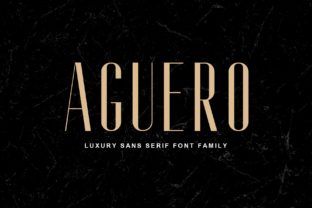 Aguero Family: A Modern Font for Professional Branding