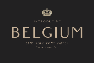 Belgium Family: A Modern Serif for Creative Projects