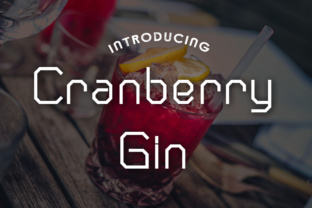Cranberry Gin Font for Business