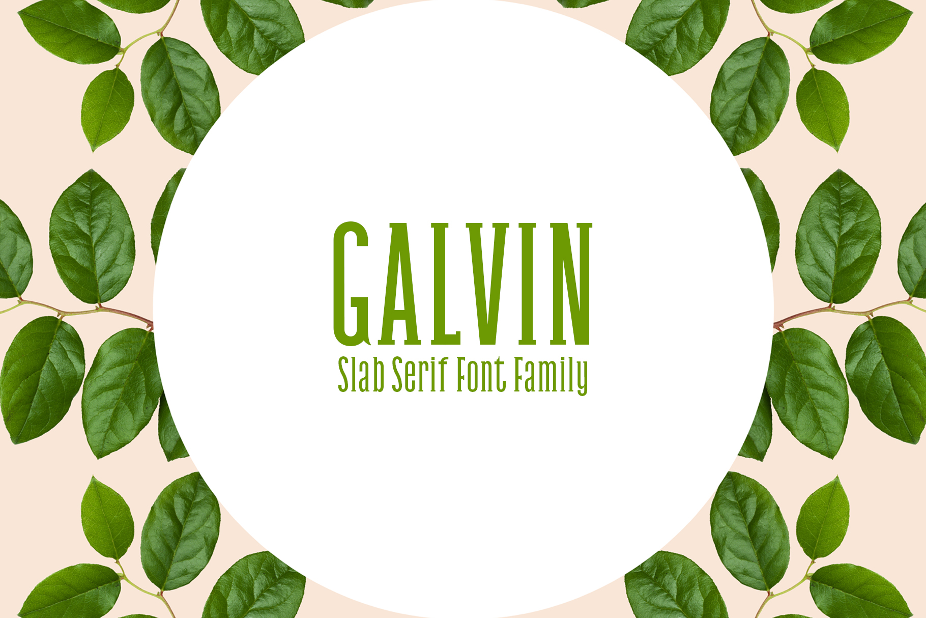 Galvin Family Pack Review