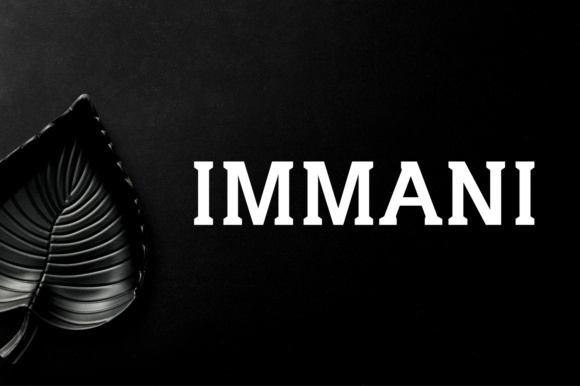 Immani Serif: A Modern Serif for Web Design