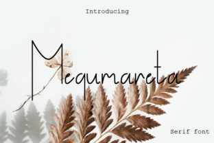 Megumareta: A Light, Modern Serif Font for Digital Branding
