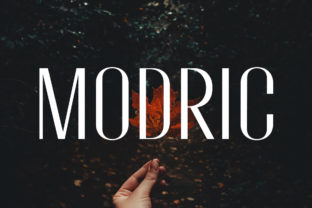 Modric: A Modern Sans Serif for Impact