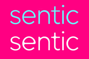 Sentic: A Modern Sans Serif Font That Elevates Small Business Branding