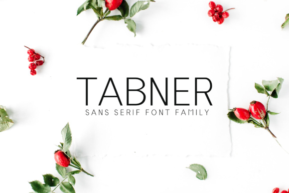 Tabner Family: A Modern Sans Serif for Editorial Design