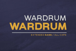 Wardrum: A Bold Sans Serif for Real-World Design